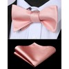 HISDERN Bow tie for men, bow tie with pocket square,