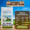 Sal Mineral Plus Para Caballo Vitasal Plus 20 Kilos.