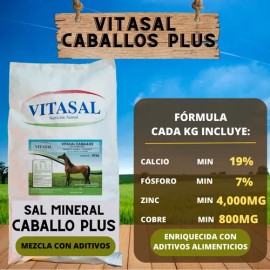 Sal Mineral Plus Para Caballo Vitasal Plus 20 Kilos.
