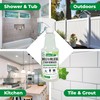 Mighty Mint Mold & Mildew Stain Remover Spray, Rapid Clean