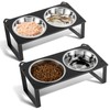 2 Set Elevated Cat Food Water Bowls, 4 Stainless Steel