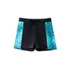 BeLikeFish Boys Swimming Trunks 5-14 Years - Quick Dry Swim