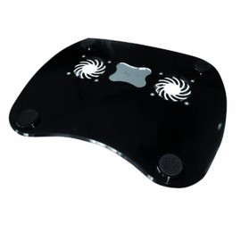 Waytex 12694 Notebookkühler/Unterlage Unterstützung mit 2 Fans für 15 Zoll und 17 Laptops Schwarz