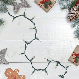 Northlight Mini Christmas Light Set -Clear - 4' Green Wire - 20ct