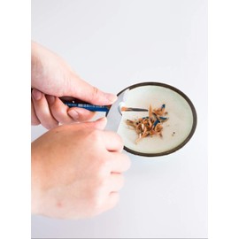 Left-Handed Steel Cutter - Pencil Sharpener - Set of Blade and Sharpening Box with Whetstone - Handmade in Tsubame-Sanjo, Japan