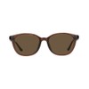 Zoff Wellington Sunglasses | Color Lenses, Lightweight, TR Material, Stylish,