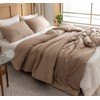 ROSGONIA Comforter Full Size for Girls Boys Teens Taupe Brown,