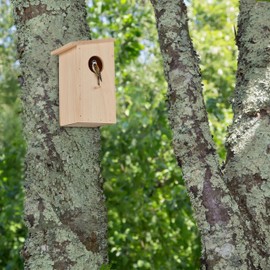 Relaxdays Great Tit & Redstart Nesting Box Natural Wood Hanging Bird House Natural 1 Piece