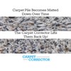 The Carpet Corrector- Rejuvenate matted Down Carpet! Great for Steps,