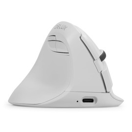 DeLUX Left Handed Ergonomic Vertical Mouse, Reduce Hands Strain Rechargeable Silent BT Wireless Ergo Mouse with USB Receiver, 6 Buttons and 4000 DPI for Carpal Tunnel (M618ZD-White)