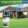 BioSafe Systems 7601-1 Weed and Grass Killer, (Case – 2),