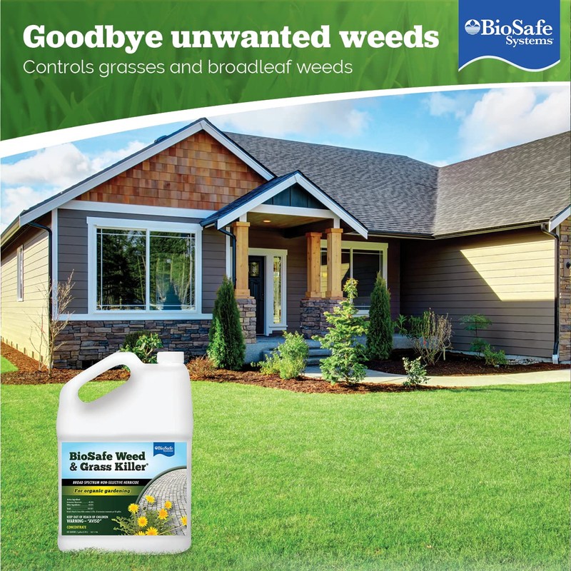 BioSafe Systems 7601-1 Weed and Grass Killer, (Case – 2),