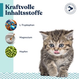 felmo Beruhigungspaste für Katzen (100g) bei Stress, Angst und innerliche Unruhe fördert die Wohlfühlpaste die Gelassenheit & lindert Anspannung bei deiner Katze - Laktosefrei, ohne Zusatz von Zucker