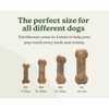 Earthbones Dental Chews for Dogs 20-50lbs, 30 Bones