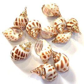 QSLLER 15pcs Natural Shell Pendants,Spiral Shell Pendants Conch Shell Beach Cowrie Sea Shells Charms Jewelry Charms Ocean Beach Dangle Beads
