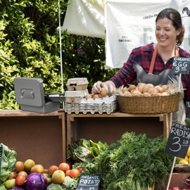 Relaxdays Cash Box, 3-Digit Number Combination, Coin Insert, Iron Money Box, Cash Box, H x W x D 8.5 x 20 x 17 cm, Grey