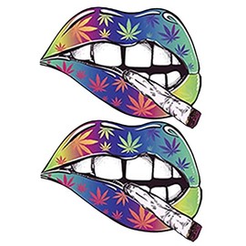 WSQ 2-Pack Pretty Pot Lips Paint Drawing Rainbow Vinyl Sticker Decals - 4 Inches - stickers for Car Truck SUV Van Window Bumper Wall Laptop MacBook Tablet Cup Tumbler Luggage and Any Smooth Surface