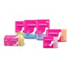INDASEC Sanitary Pads for Loss - Minor 3821749 16