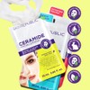 Skin Republic Ceramide Face Mask