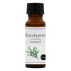 Natural 100% Eucalyptus Globulus Oil 20ml Aroma Oil Eucalyptus