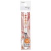 Skater SR1 Stainless Steel Children's Spoon 5.5 inches (14 cm),