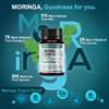 Brightcaps Moringa Complex - 3000mg Moringa Powder enriched with Turmeric,