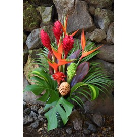 Large Hawaiian Tropical Fresh Flower Arrangement - GROWN IN HANA, HAWAII TO ORGANIC STANDARDS - Includes Bold Tropical Flowers & Greenery - A Total of 20 Stems!