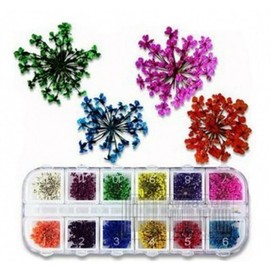 AKOAK12 Colors Natural Real Dry Flower Sticker Decals 3D Nail Art Decorations Kits Flower Nail Supplies