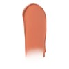 e.l.f. Cosmetics Pout Clout Plumping Lápiz para Labios de Durazno