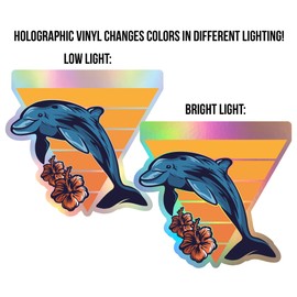 Asheville North Carolina Holographic Souvenir Vinyl Decal Sticker 4 Inch Design C