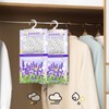 Closet Humidity Absorber - Hangable Moisture Absorber Bag,Scented Humidity Remover