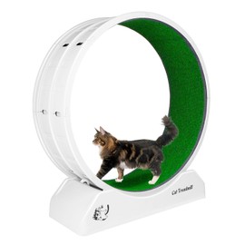 Cat Wheel, Cat Wheels for Indoor Cats, Cat Eercise Wheel for Most Cats, Low Noise Cat Treadmill with Carpeted Runway & Locking Mechanism, Easy to Install, Large