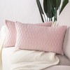 Madizz Pack of 2 Super Soft Velvet Decorative Cushion Covers