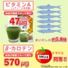 フルーツ青汁 乳酸菌 酵素 配合 3袋 3か月分 270g (3g × 90包)