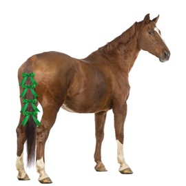 Ribbon Bow Clip for Horse Tail Pony Decoration Holiday Real Horse Christmas Parade Shows Ribbon Tie Equestrian Hair Ponytail Pet Dog Hair Clips 4pcs Green