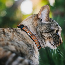 Collar de gato Breakaway Mr. Meeseeks Poses Flip Naranja de 8 a 12 pulgadas de ancho