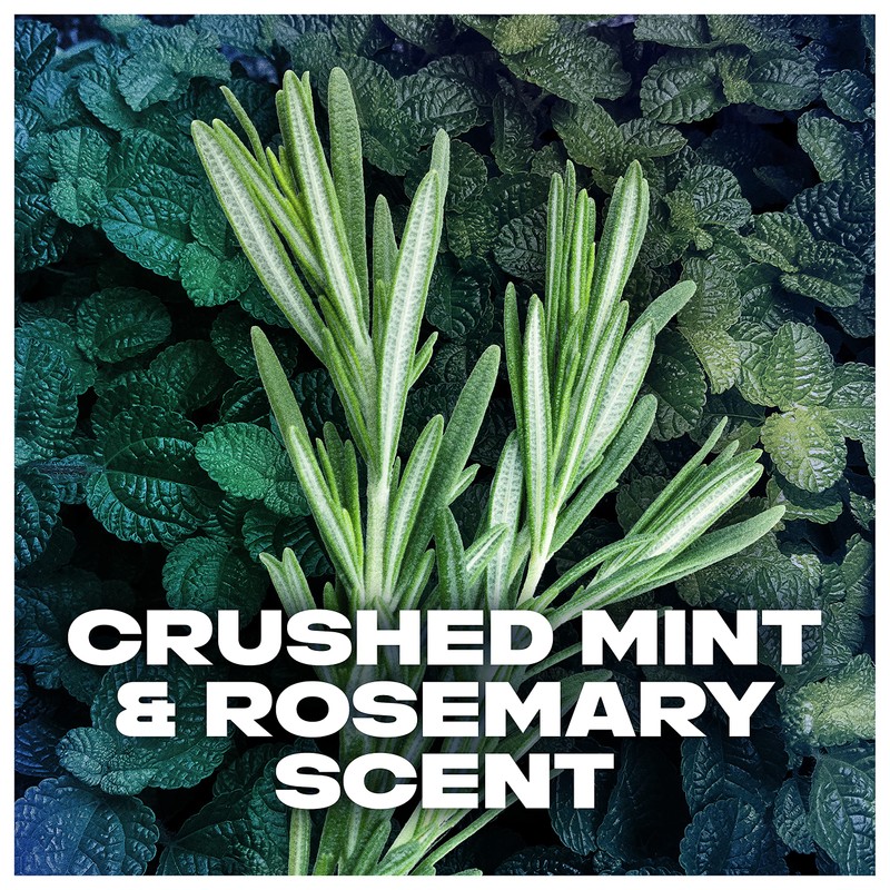 AXE Antiperspirant Deodorant For Men For Long Lasting Freshness Phoenix