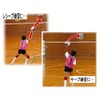 Molten Set VSUN Volleyball Serve Practice Equipment, 4 Mesh Nets