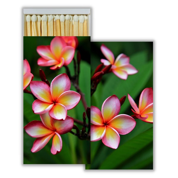 Pink Plumeria Decorative Match Boxes with Wooden Matches - Great for Lighting Candles, Fireplaces, Grills and More | Set of 3