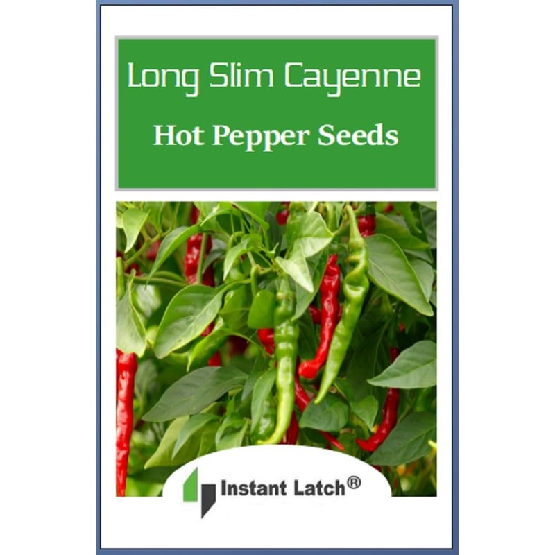 100 Long Slim Cayenne Hot Pepper Seeds for Planting Non