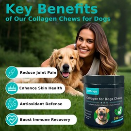 Gothrapy Multi Collagen for Dogs, 180 Soft Chews for Joint, Skin & Hip Health, with Vitamin C & Hyaluronic Acid - Chicken Flavored