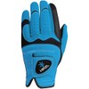 Hirzl Hybrid PLUS Golf Glove (Blue/Black, Large)