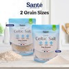 Sante Fine Ground Sea Salt From the Celtic Sea -