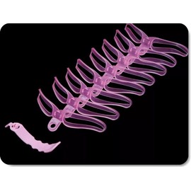 Pack of 8 Eyebrow Stencils for Beginners, Reusable DIY Eyebrow Stamp for 3 Minutes Makeup (Rose)