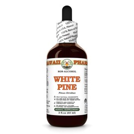 White Pine (Pinus Strobus) Dry Bark Glycerite, Made in Hawaii, All Natural, Vegan, Lab Tested Alcohol-Free Liquid Extract - 2 fl.oz