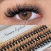 10 Boxes of 40D 0.07mm Faux Mink False Eyelashes, D