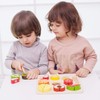 Classic World Cutting Fruit Puzzle Molding Puzzle 1 Year Old