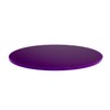 Acrylic Placemat 320mm Diameter Round Hardwearing & Long Lasting Plastic