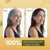 Shampoo Tinte Instantáneo Cubre Canas Natural Jengibre 2pz F