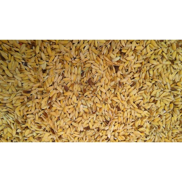 Diamond G Brown Rice 5lbs.